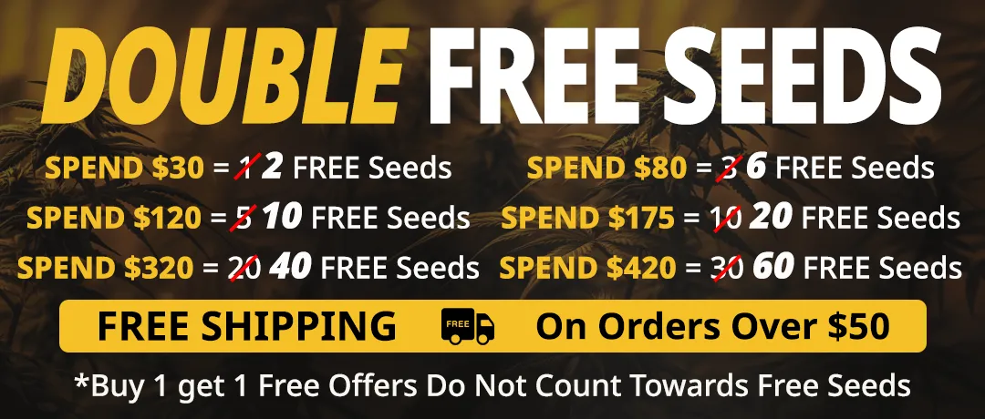 Banner Mobile