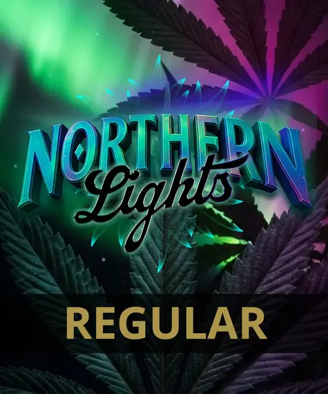 Northern Lights - Regular